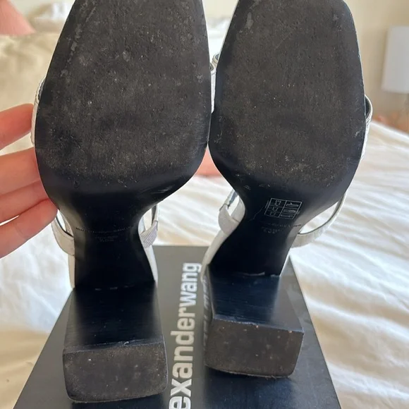 Alexander Wang Hayden Croc